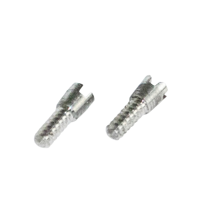 Micro screws