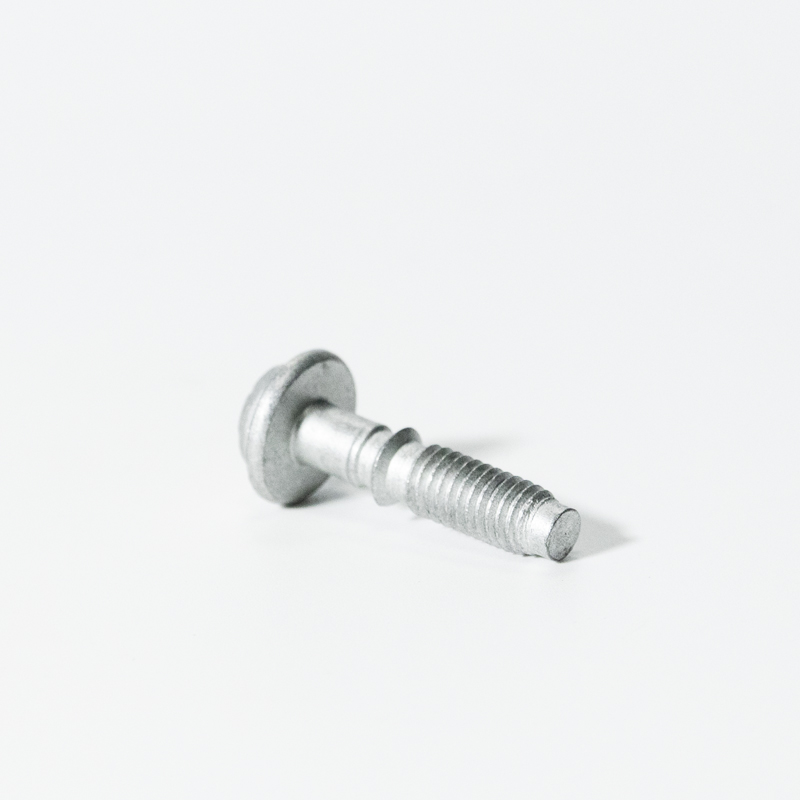 Captive screw