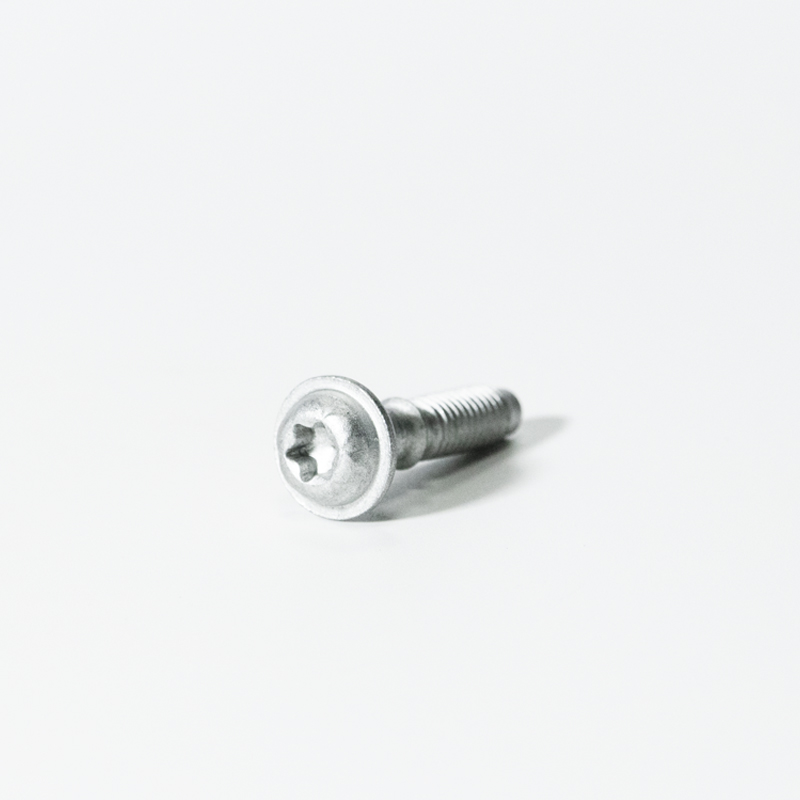 Captive screw